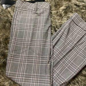 Women dress pants
